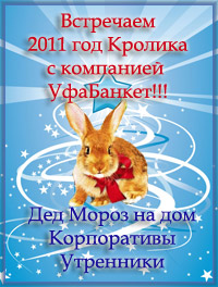 Дед мороз, корпоративы, утренники